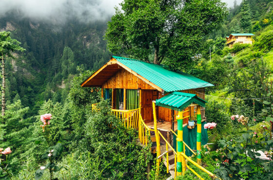 Jibhi & Tirthan Valley Tour Package