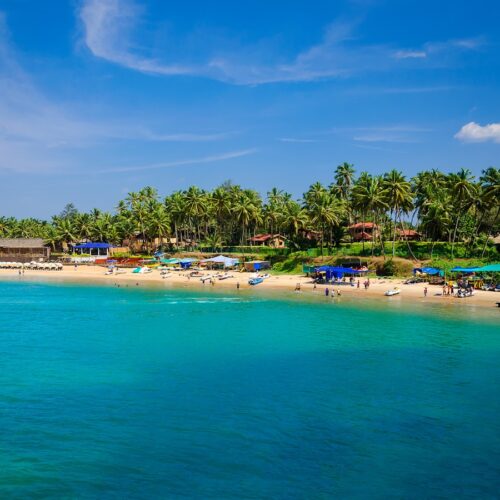 Goa tropical beach with palm trees and blue ocean