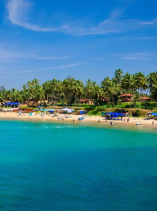 Goa tropical beach with palm trees and blue ocean
