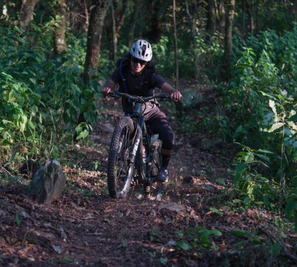 Biking & Cycling