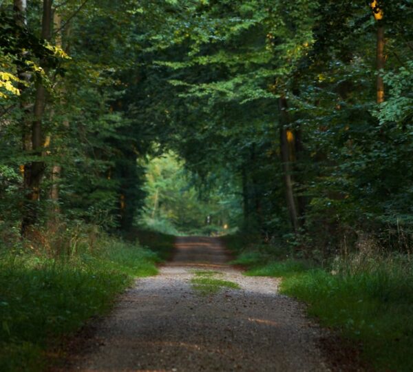 Walking