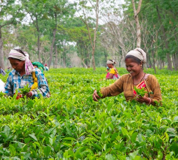 Assam