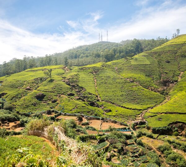 Sri Lanka