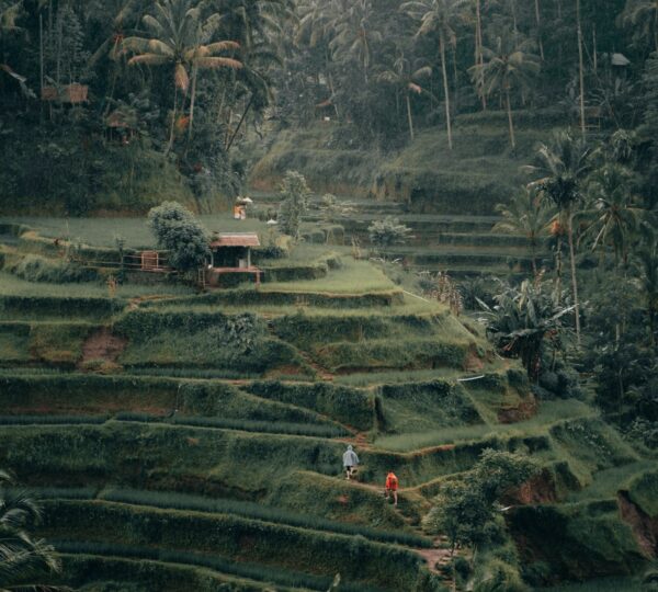 Indonesia