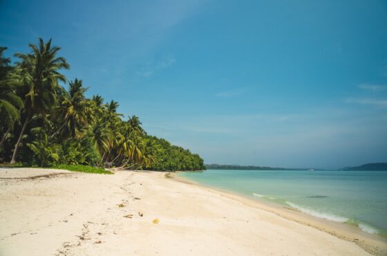 Andaman & Nicobar Islands Tour Package – Port Blair, Havelock, Neil & Baratang