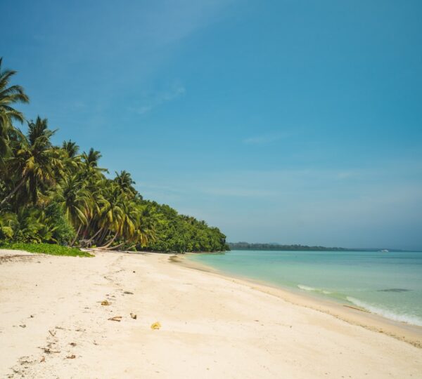 Andaman & Nicobar Islands