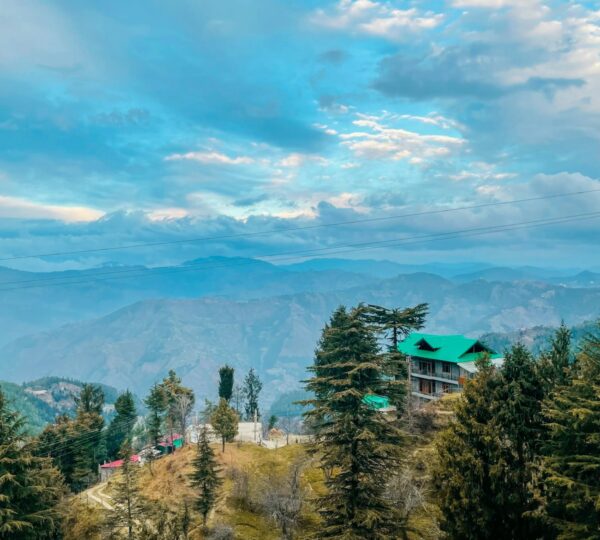 Kufri