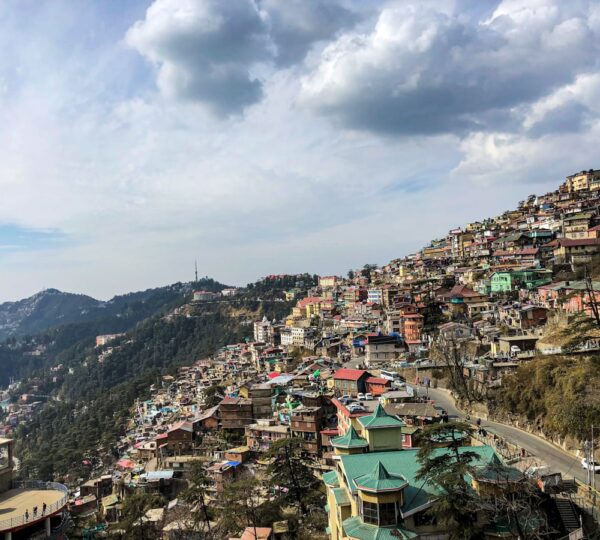 Shimla