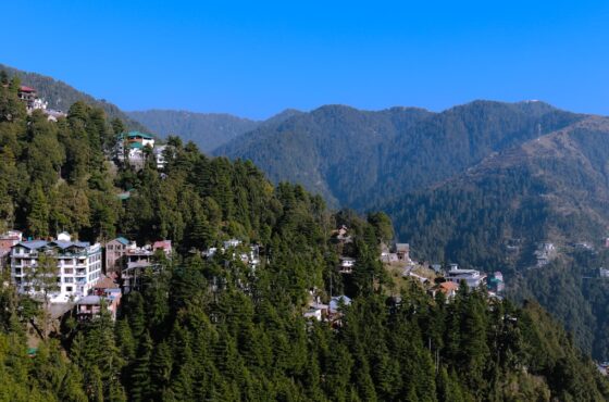 Amritsar, Dalhousie, Dharamshala & Manali Tour Package