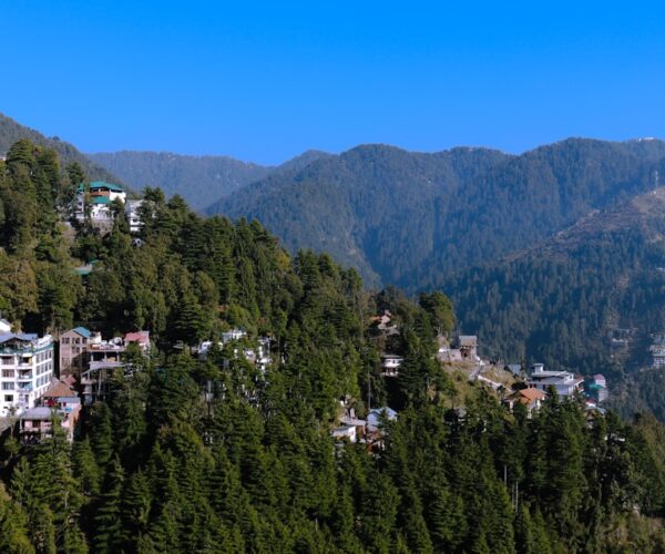 Amritsar, Dalhousie, Dharamshala & Manali Tour Package