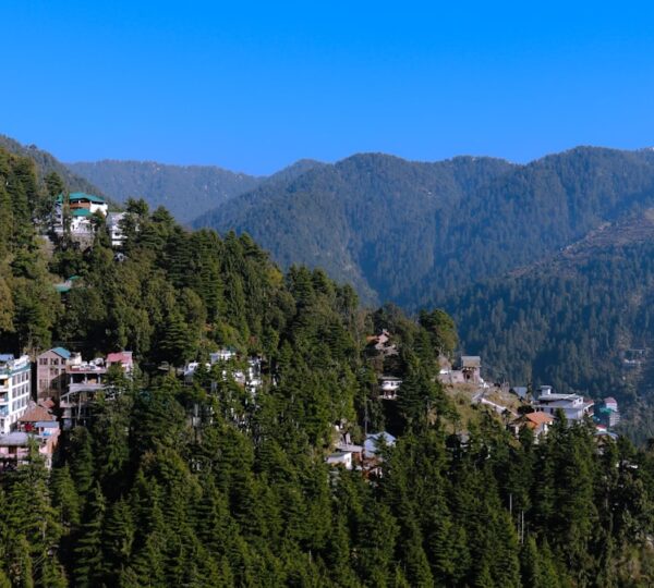 Dalhousie