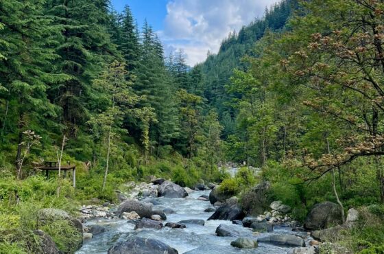 Kasol & Jibhi Tour Package