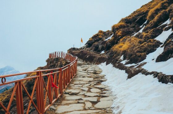 Chopta Tungnath Chandrashila Trek Tour Package