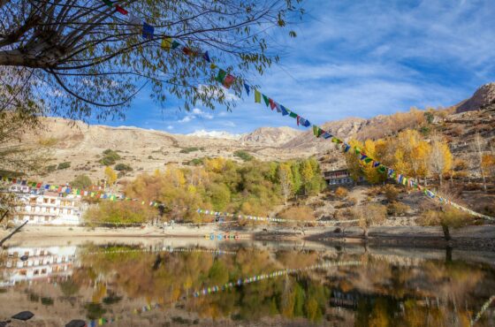 Aut, Jibhi, Chitkul, Nako, Kaza & Chandratal Tour Package